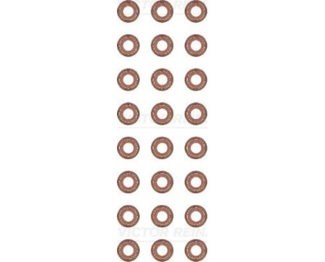 Seal Set, valve stem
