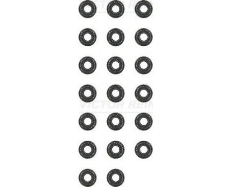 Seal Set, valve stem