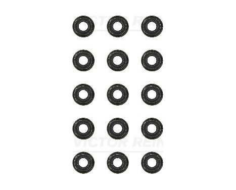 Seal Set, valve stem