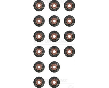 Seal Set, valve stem