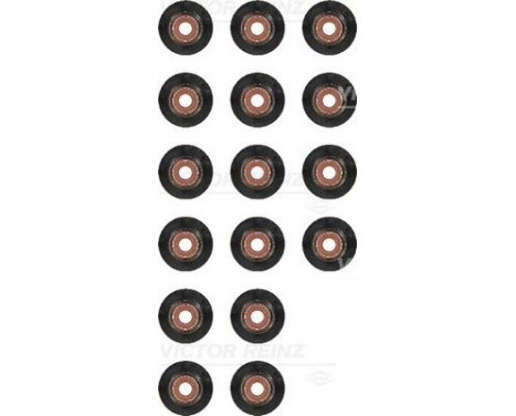 Seal Set, valve stem