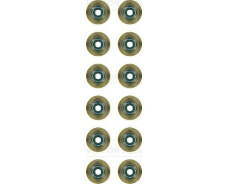 Seal Set, valve stem