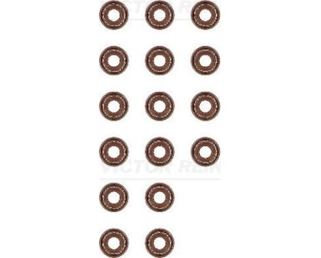 Seal Set, valve stem