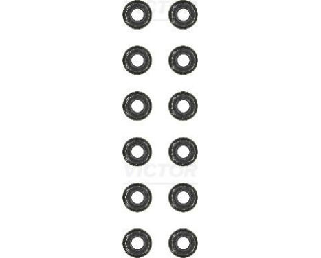 Seal Set, valve stem