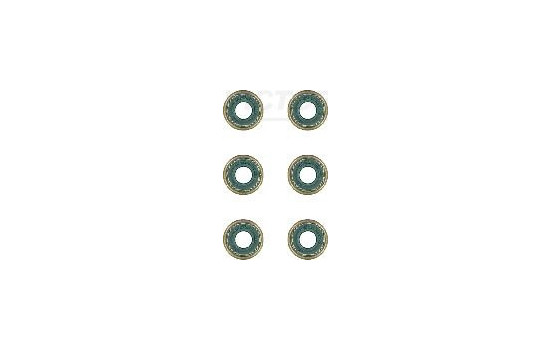 Seal Set, valve stem