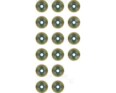 Seal Set, valve stem