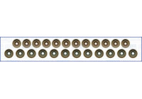 Seal Set, valve stem