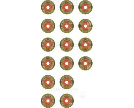 Seal Set, valve stem