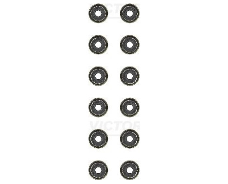 Seal Set, valve stem