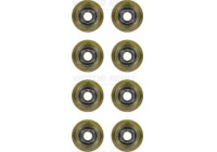 Seal Set, valve stem