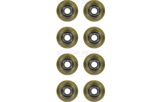 Seal Set, valve stem