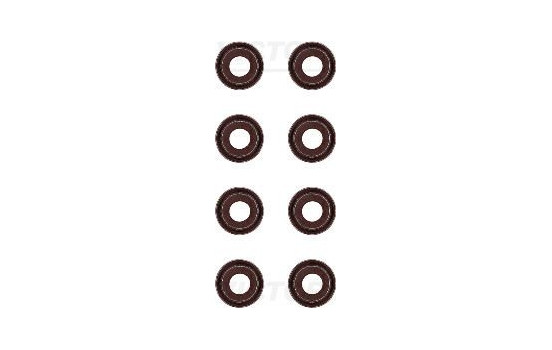 Seal Set, valve stem