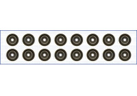 Seal Set, valve stem