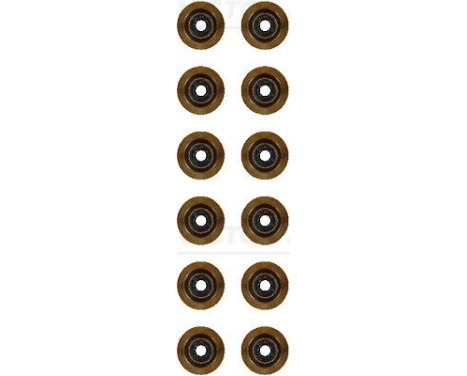 Seal Set, valve stem