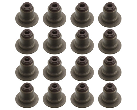 Seal Set, valve stem