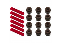 Seal Set, valve stem