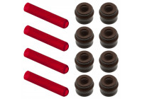 Seal Set, valve stem