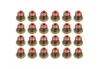 Seal Set, valve stem