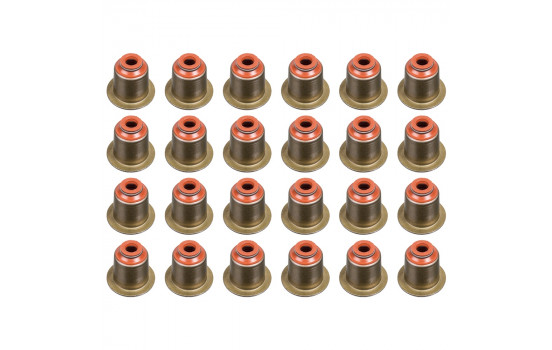 Seal Set, valve stem