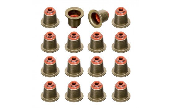 Seal Set, valve stem