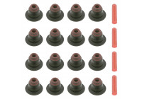 Seal Set, valve stem