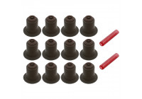 Seal Set, valve stem