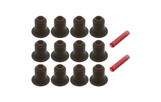 Seal Set, valve stem