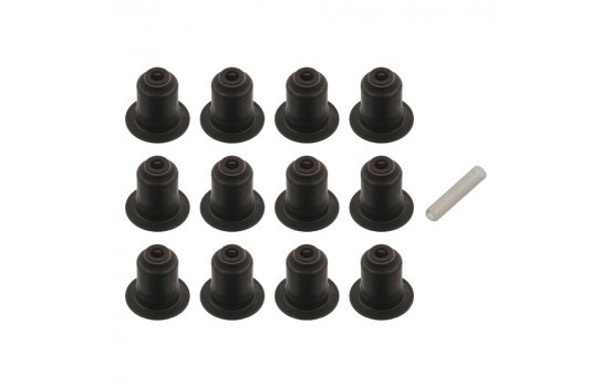 Seal Set, valve stem