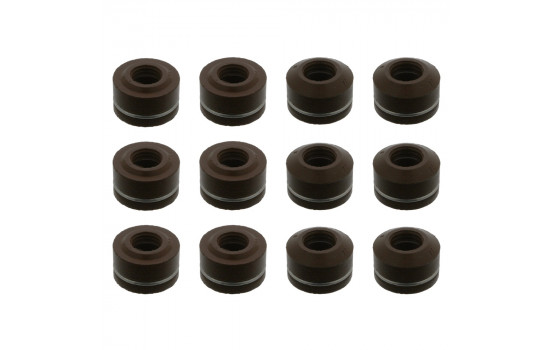 Seal Set, valve stem