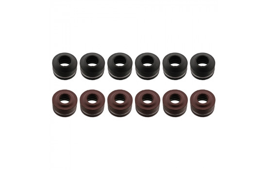 Seal Set, valve stem