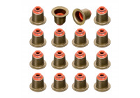 Seal Set, valve stem