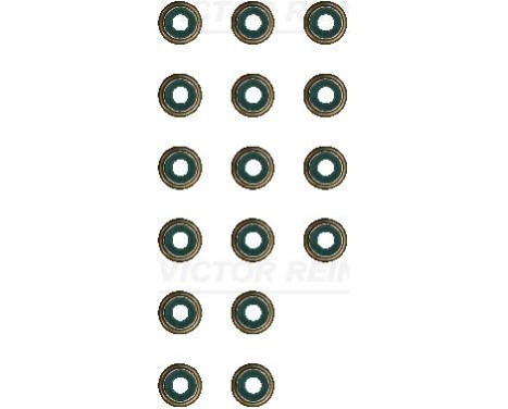 Seal Set, valve stem