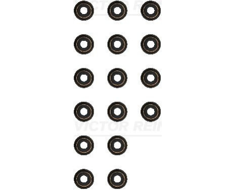 Seal Set, valve stem