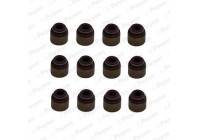 Seal Set, valve stem