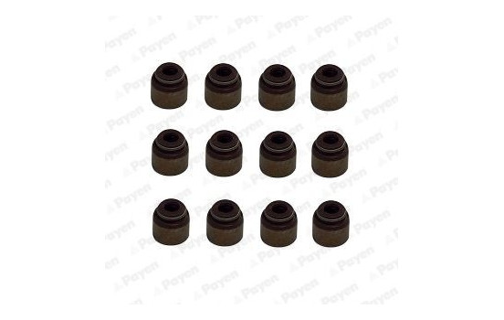 Seal Set, valve stem