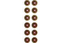Seal Set, valve stem