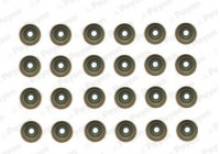 Seal Set, valve stem