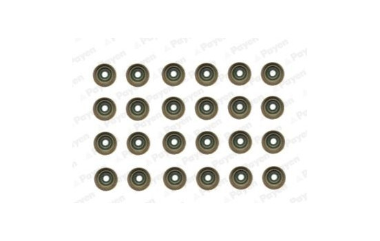 Seal Set, valve stem