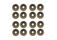 Seal Set, valve stem