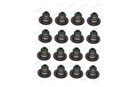 Seal Set, valve stem