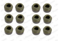 Seal Set, valve stem