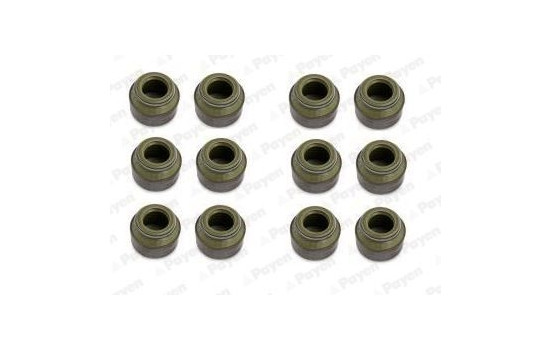 Seal Set, valve stem