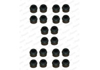 Seal Set, valve stem