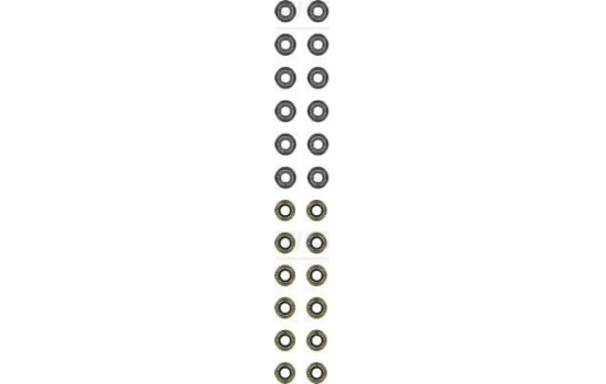 Seal Set, valve stem