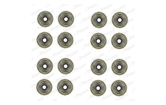 Seal Set, valve stem