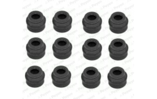 Seal Set, valve stem