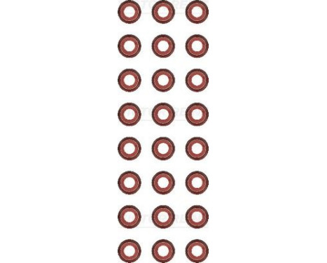 Seal Set, valve stem