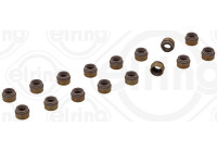 Seal Set, valve stem