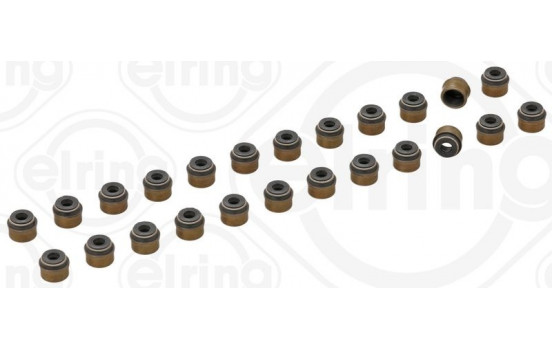 Seal Set, valve stem