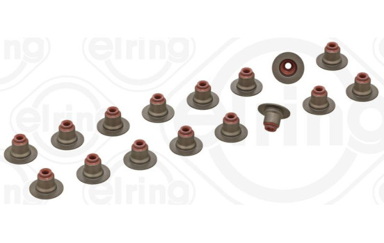 Seal Set, valve stem